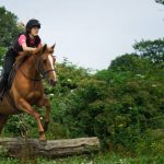 Englannin kurssi ja ratsastustunnit Irlannissa